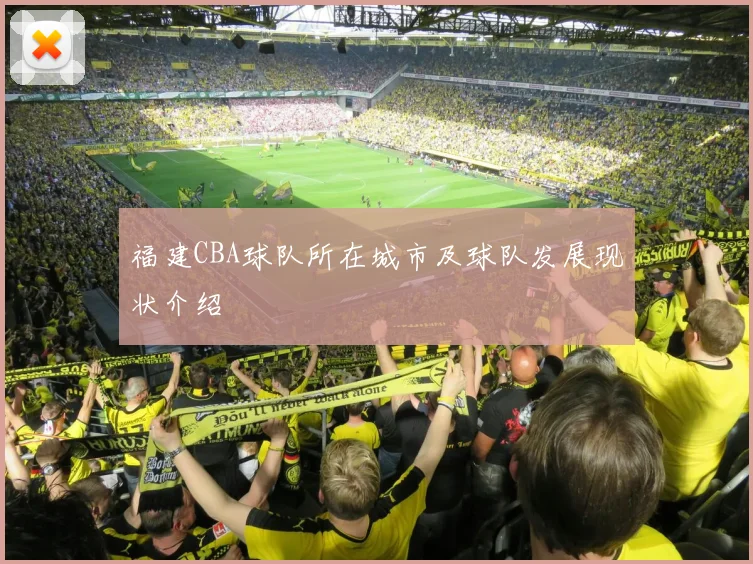 福建CBA球队所在城市及球队发展现状介绍