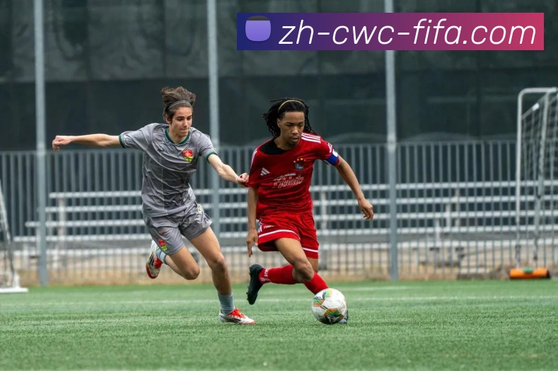 App Interface Preview