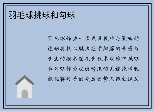 羽毛球挑球和勾球