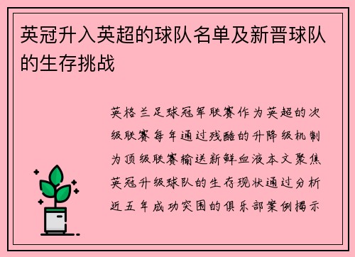 英冠升入英超的球队名单及新晋球队的生存挑战